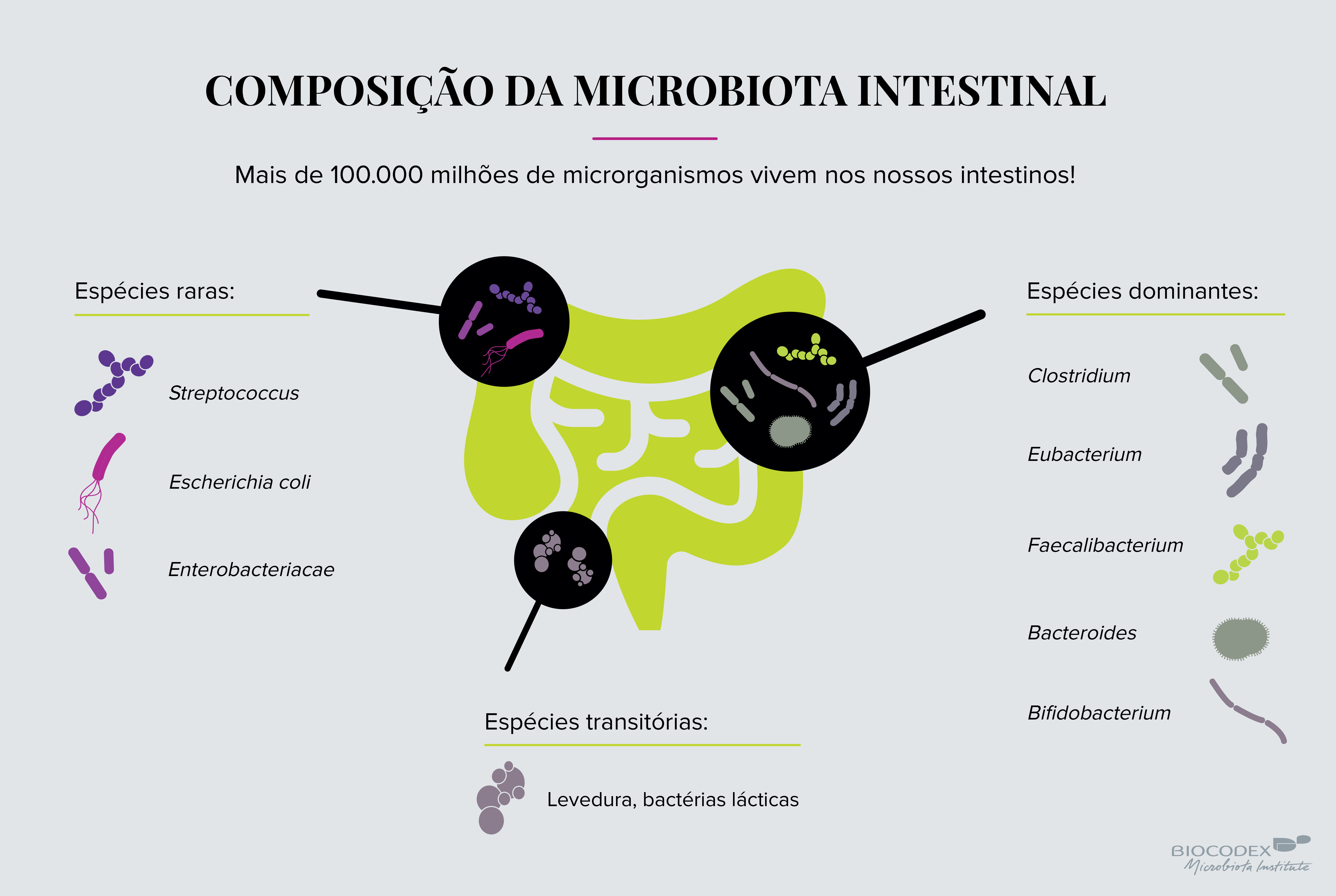 Microbiota Gastrointestinal Biocodex Microbiote Institut