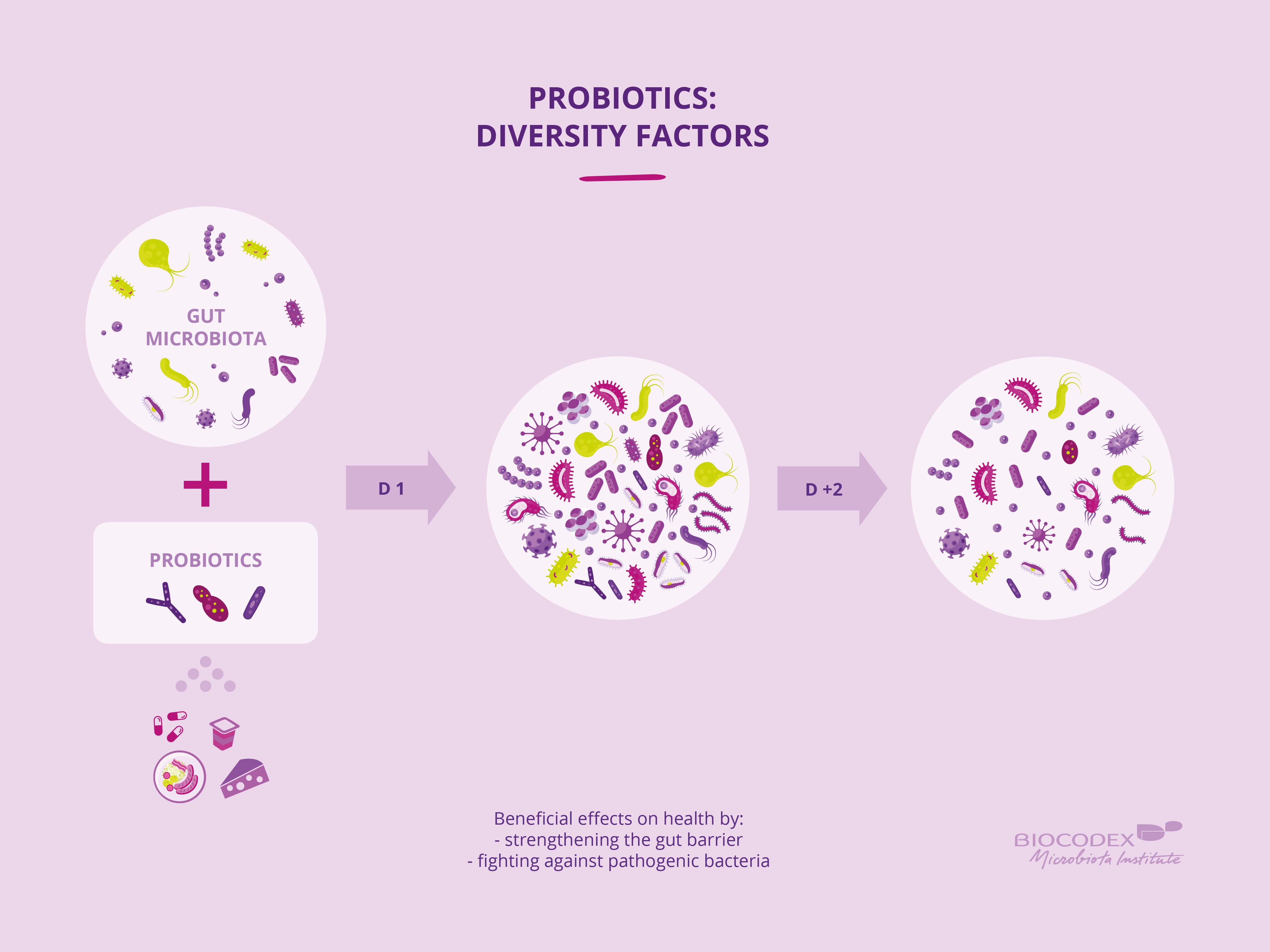 Probiotics Biocodex Microbiote Institute