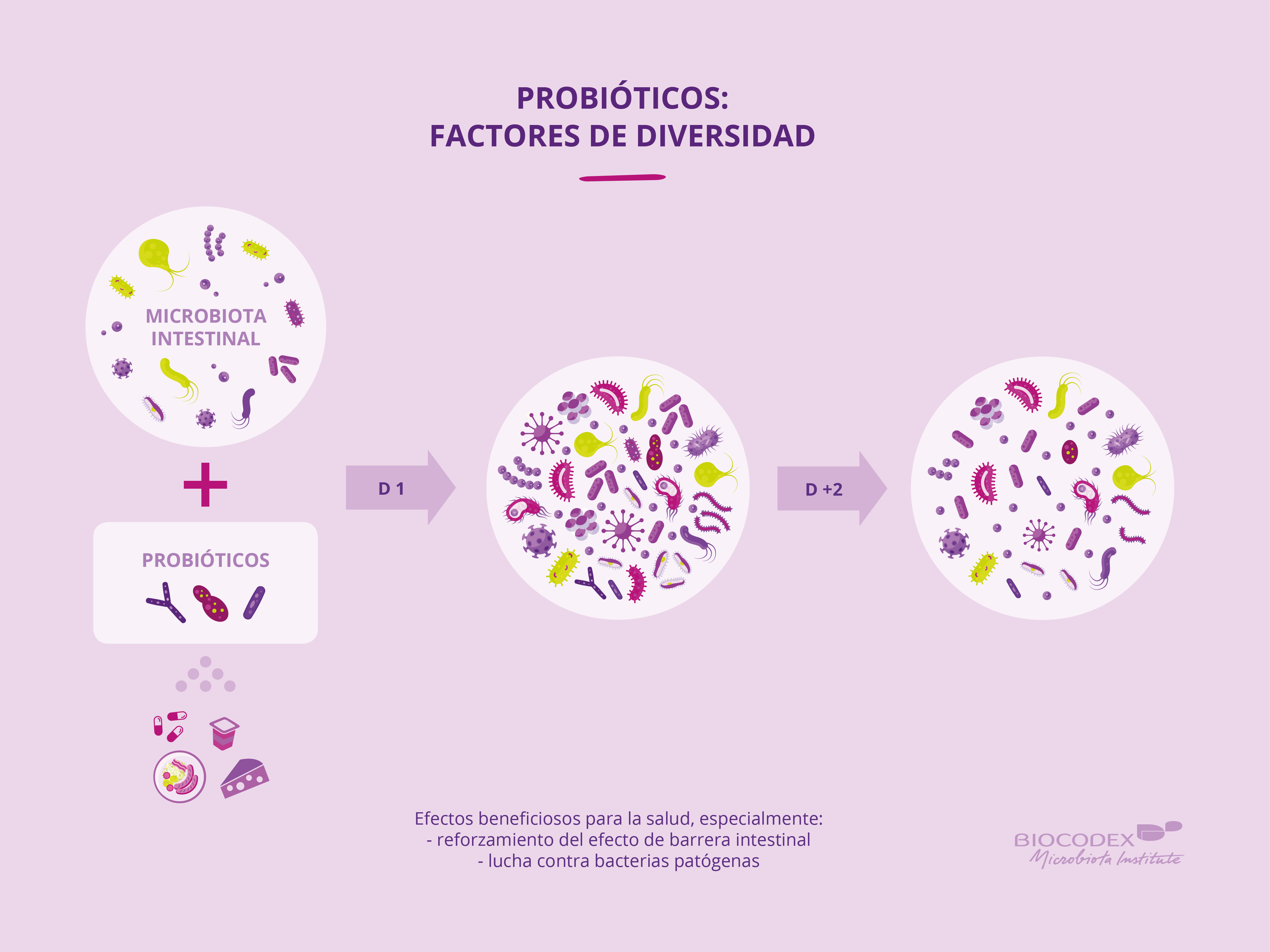 Los probióticos Biocodex Microbiote Institute