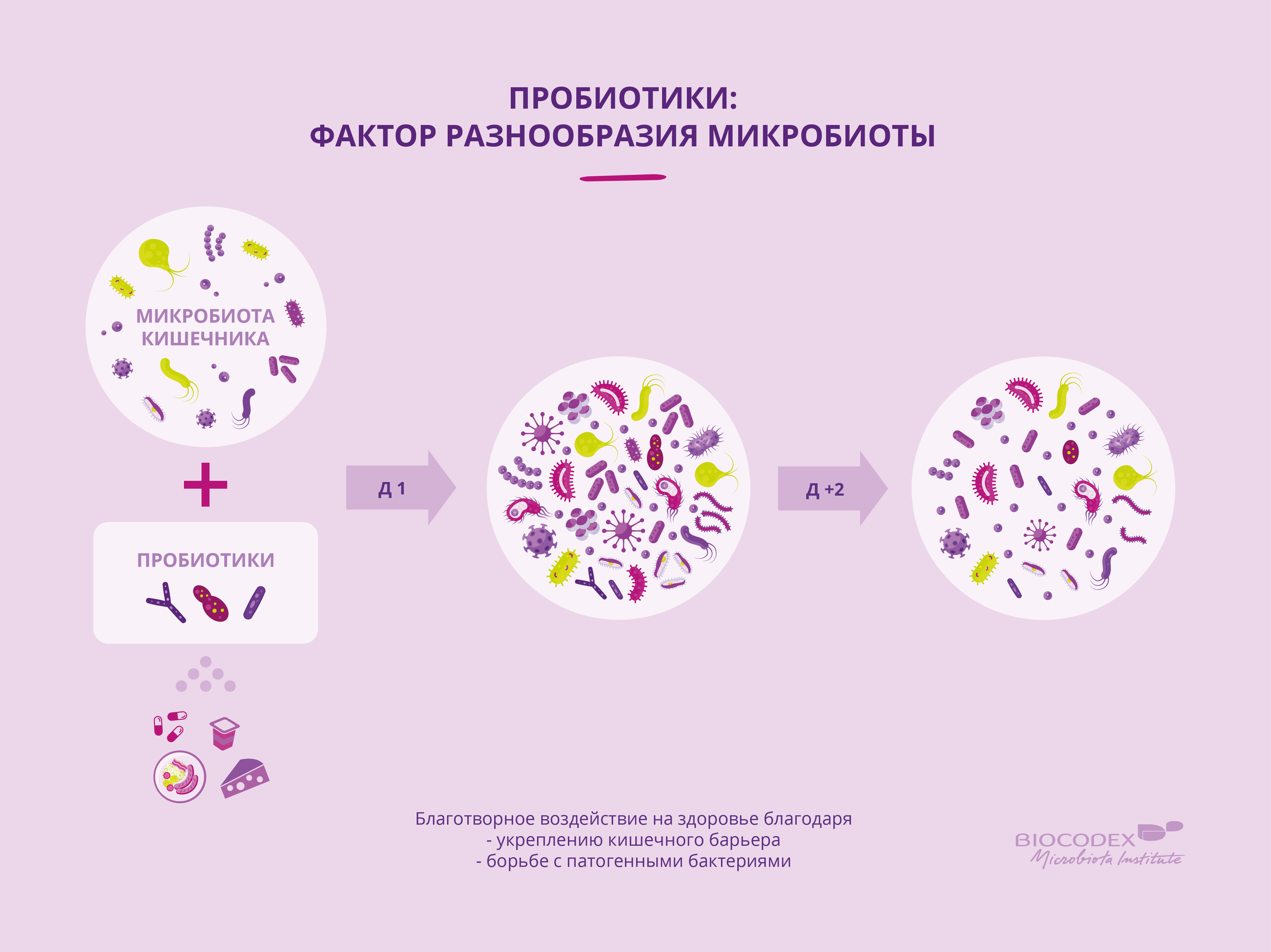 Производство пробиотиков презентация