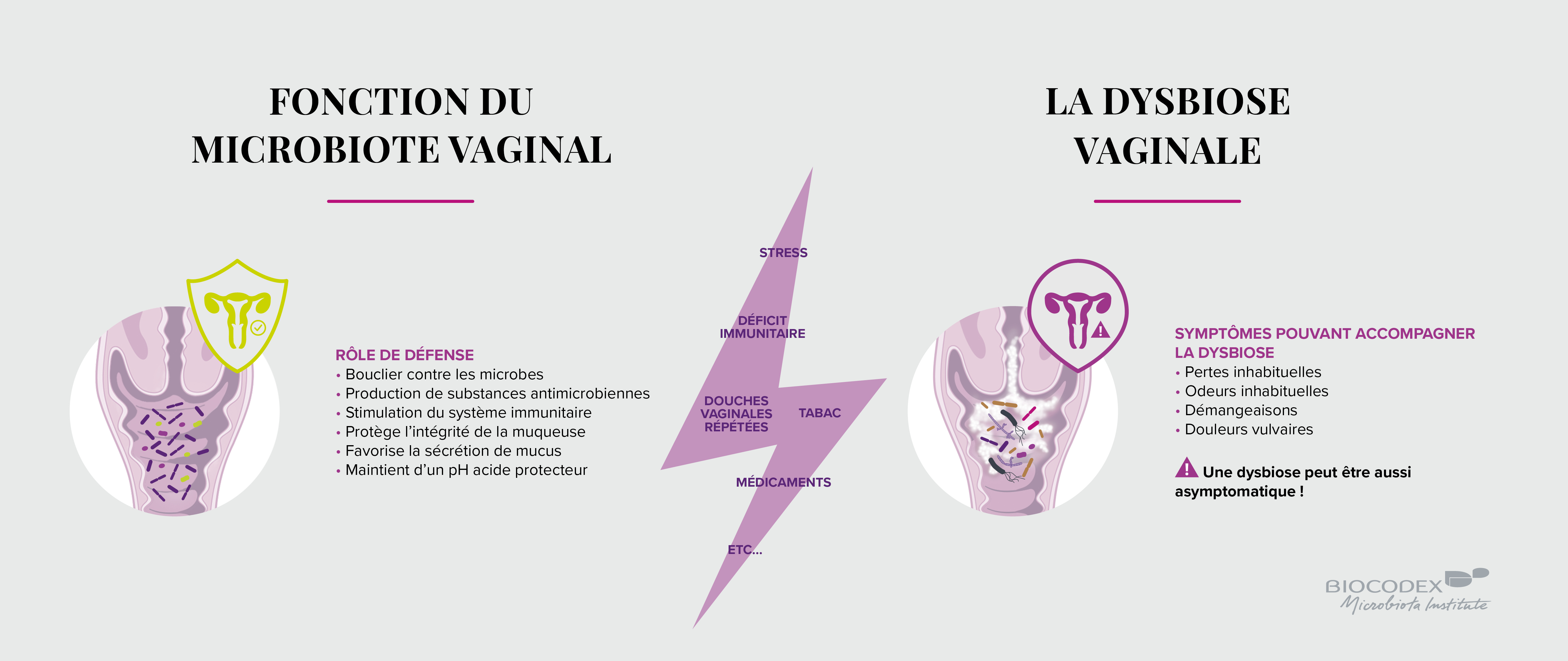 Microbiote Vaginal