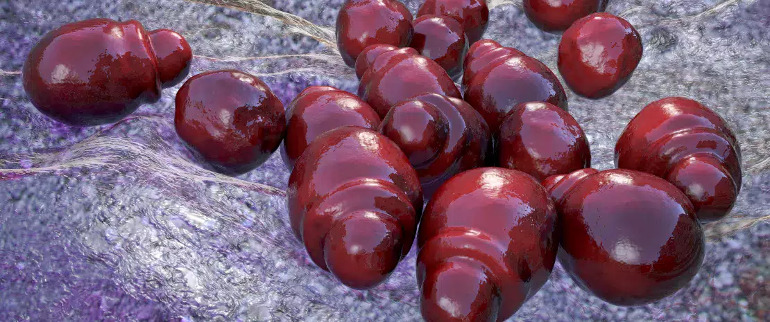 Photo: Dermatite atopique : le mycobiote cutané à la loupe