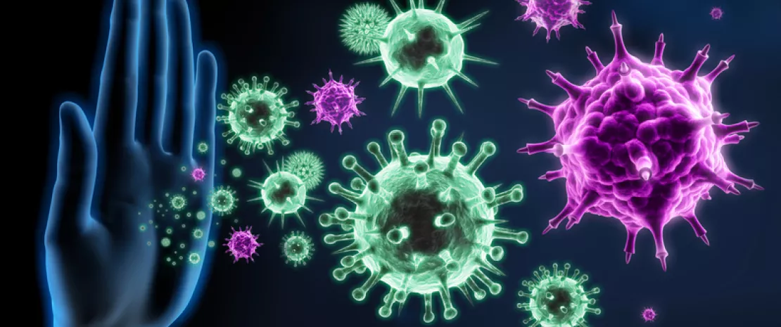 Actu GP : Microbiote et cellules immunitaires : sentinelles de l’intestin