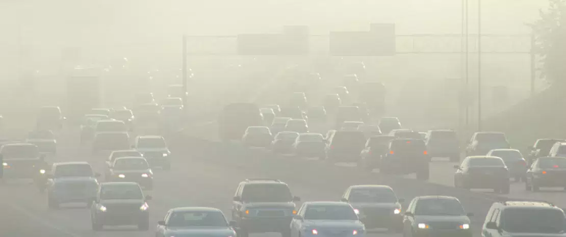 Actu GP : La pollution à l’ozone modifierait le microbiote intestinal