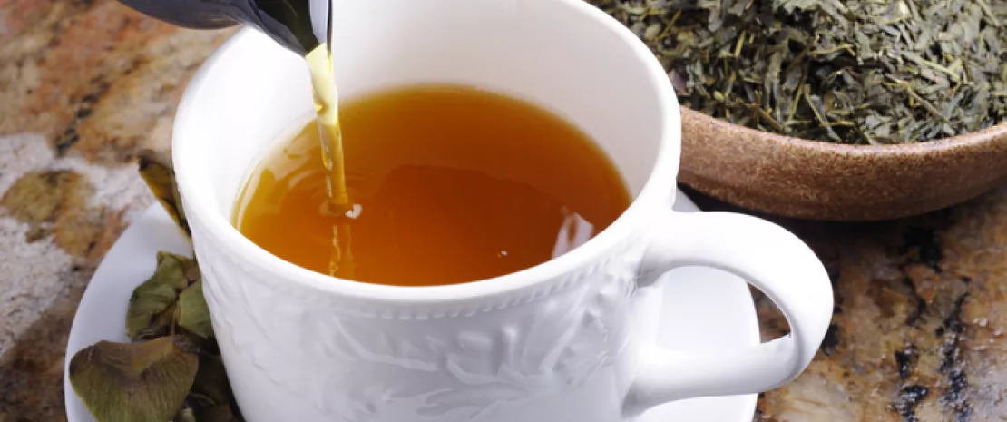 Green tea is good for your microbiota!