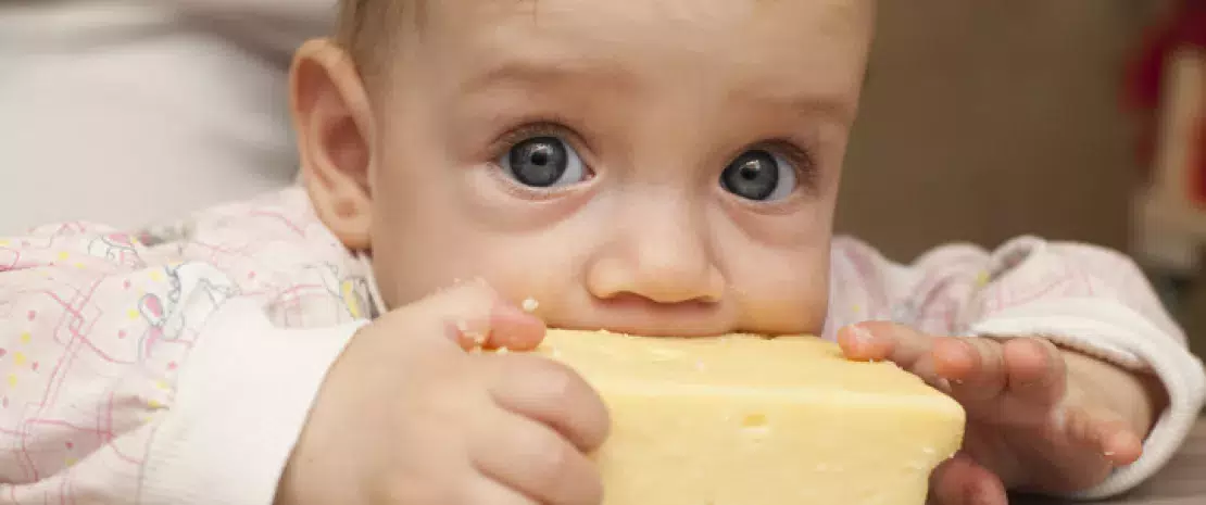 Actu GP : Donner du fromage à vos enfants pour prévenir leurs allergies ?