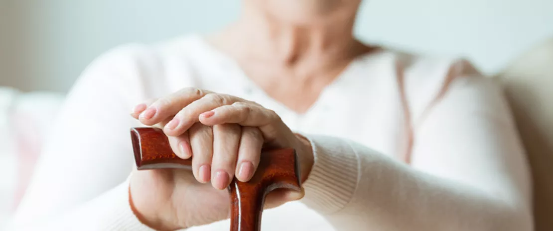 Actu GP : Parkinson et microbiote intestinal : un lien ?