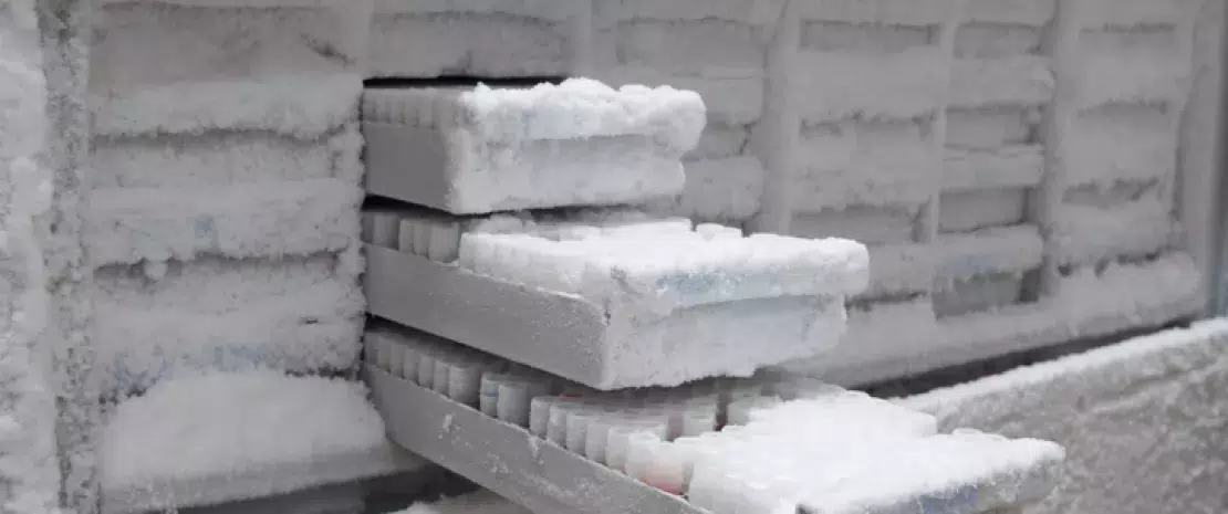 Actu GP : Mieux définir les banques de selles pour déployer la greffe