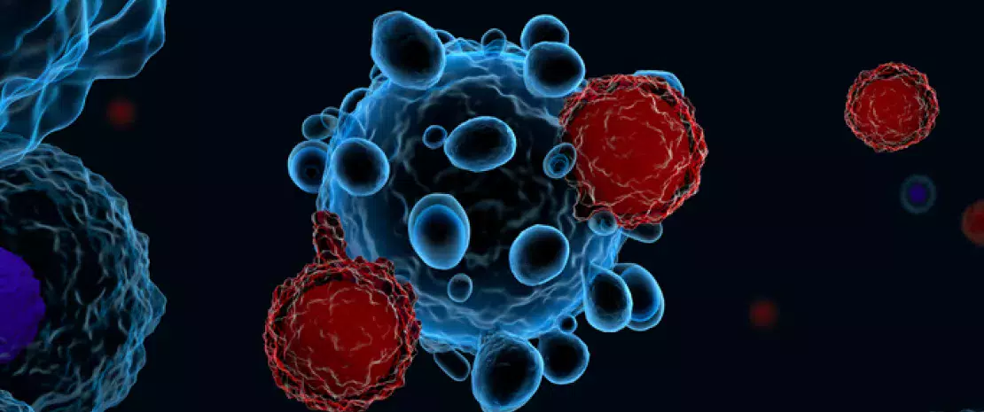 Photo : What if manipulating the microbiota could improve the response to immunotherapy?