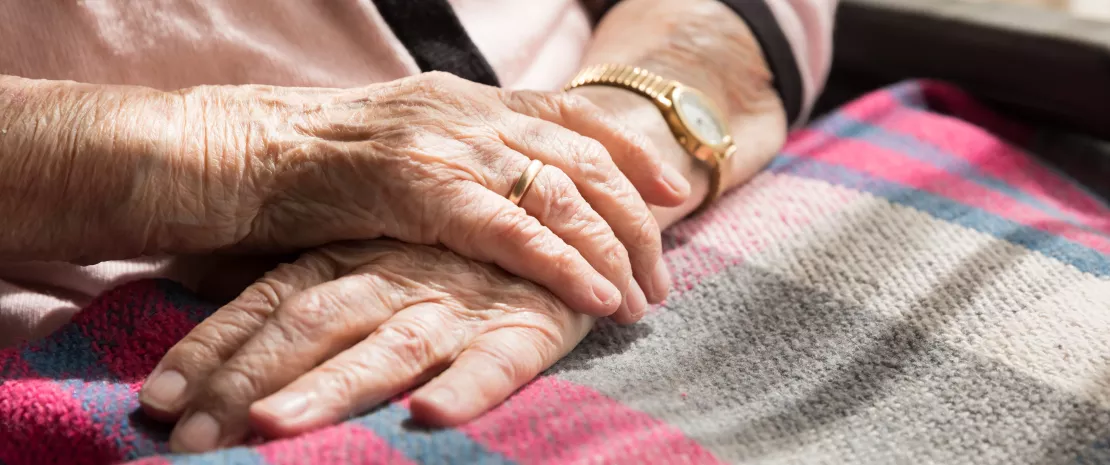 Photo : Interference of the gut microbiota with the treatment of parkinson’s disease