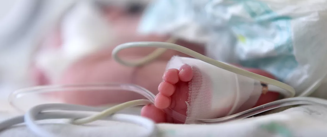 Photo : The vaginal microbiota as a predictor of the risk of premature delivery