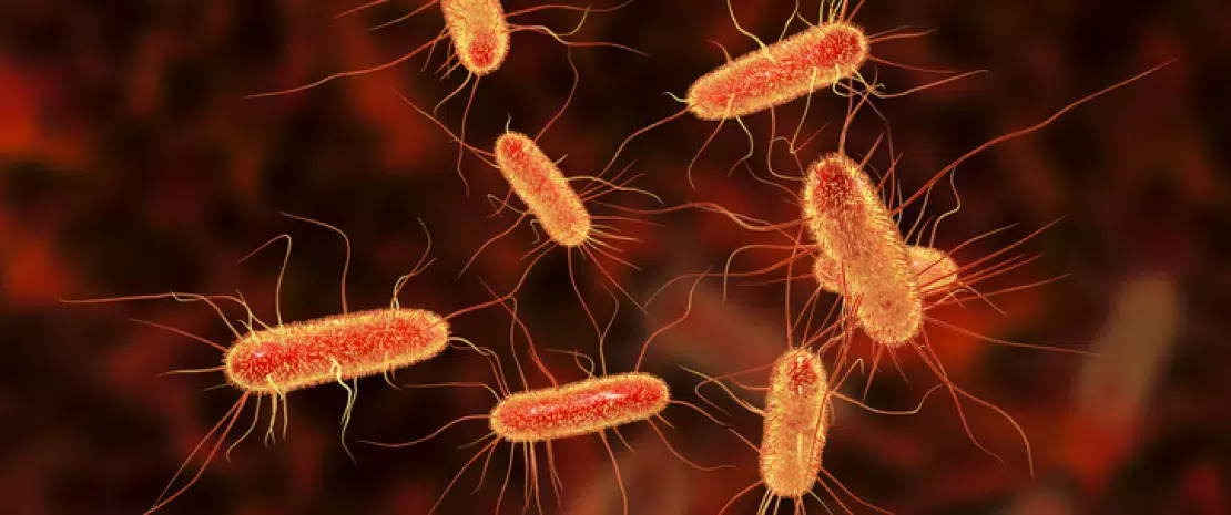 Photo : Mutational signature of e. Coli in colorectal cancer