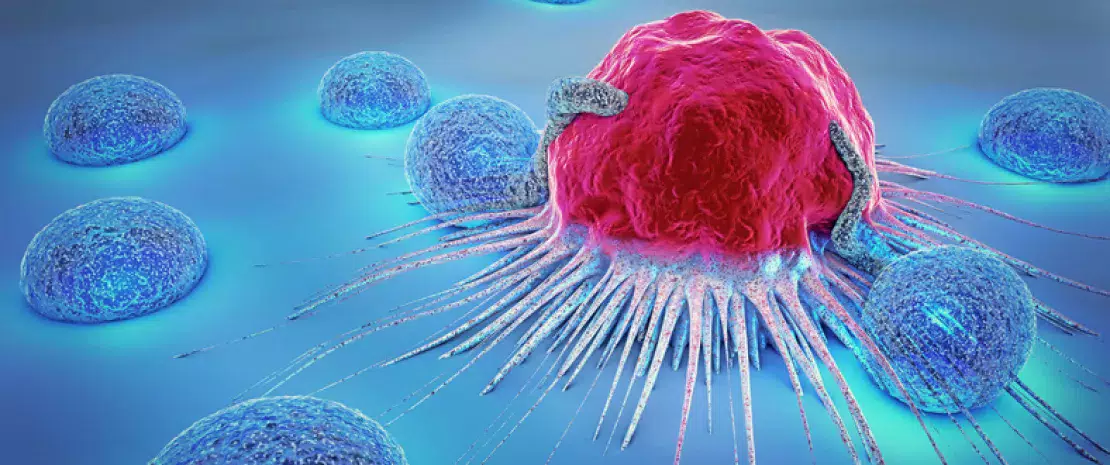 Actu PRO : A chaque tumeur son microbiote