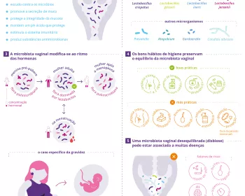 5 things to know about vaginal microbiota PT