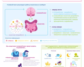 [Infography] Gut brain axis: how your microbiota talks to your brain_RU