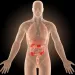 Actu PRO : Crohn : Le microbiote intestinal prédictif des récidives ? 