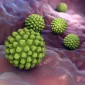 Actu PRO : Le microbiote, rempart contre le rotavirus