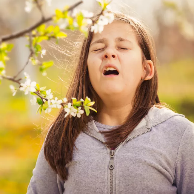 Allergies : et si tout venait du microbiote ?