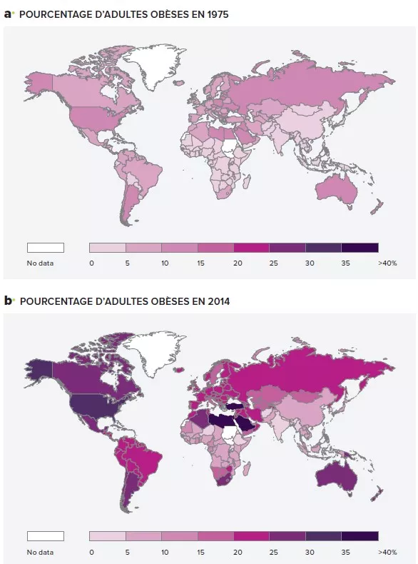 Data monde_obésité