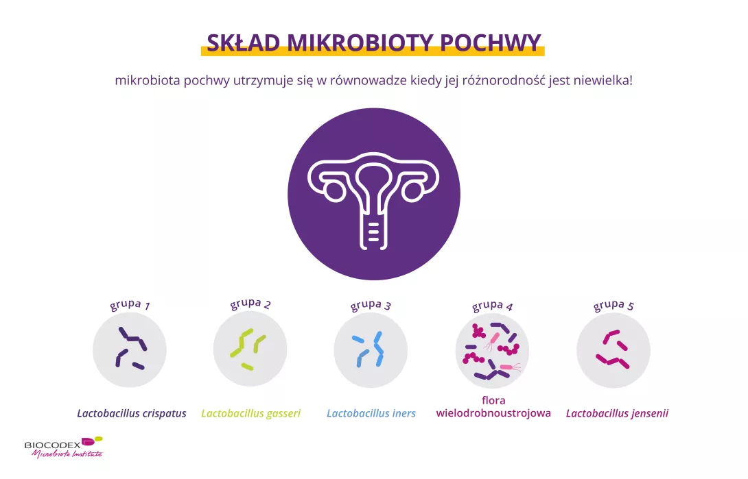 Composition of the vaginal microbiota_pl