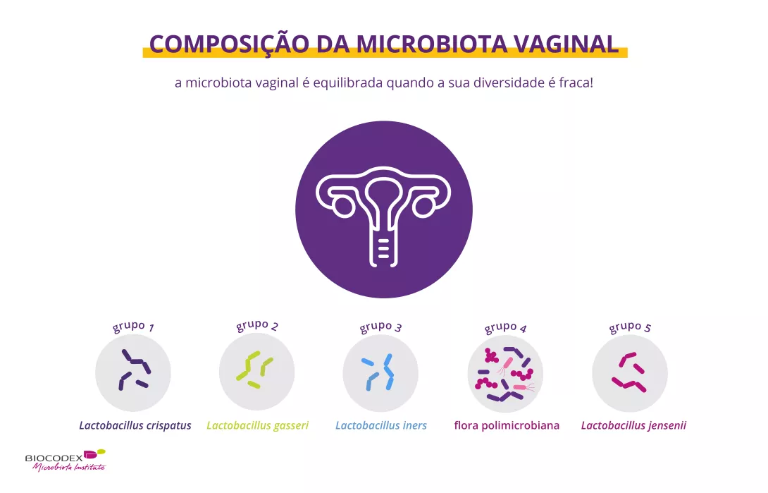 Composition of the vaginal microbiota_pt