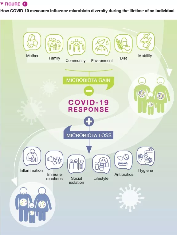 NL13_Covid figure 1 EN