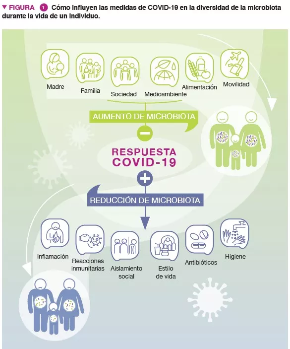 NL13_Covid figure 1 ES