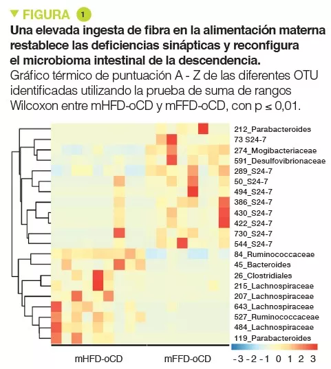 NL13_Mas figure 1 ES