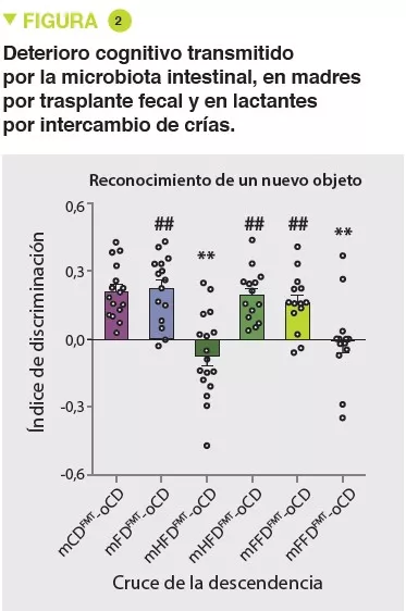 NL13_Mas figure 2 ES