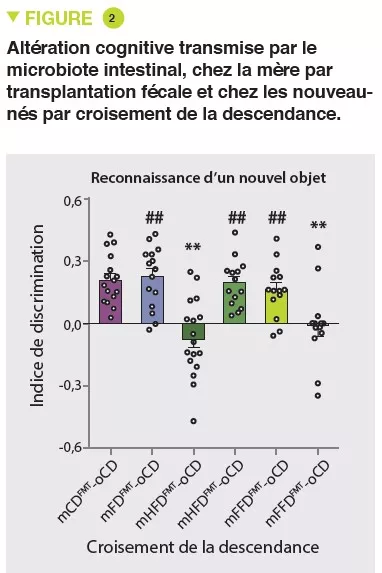 NL13_Mas figure 2 FR