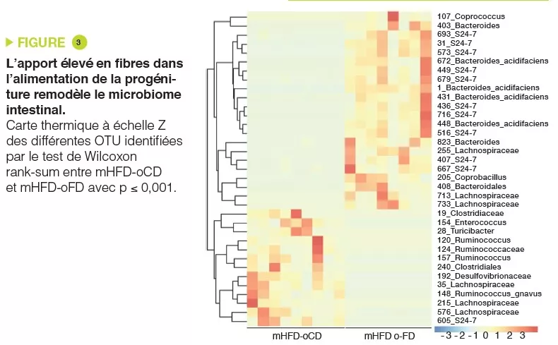 NL13_Mas figure 3 FR