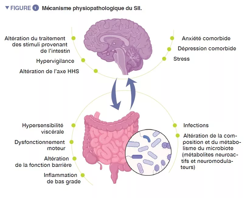 NL13_synthèse figure 1 FR