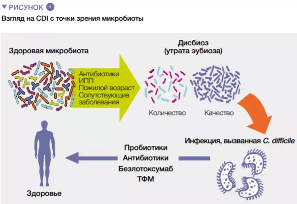 10 Synthèse_figure 1 RU