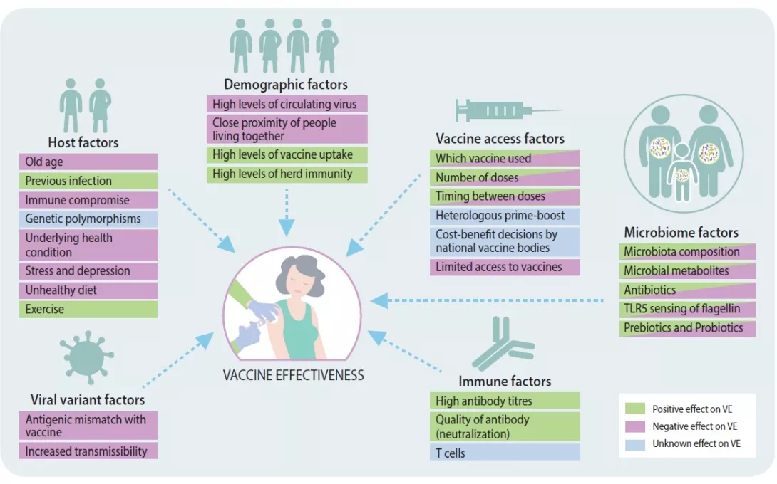 Covid 14_figure 1