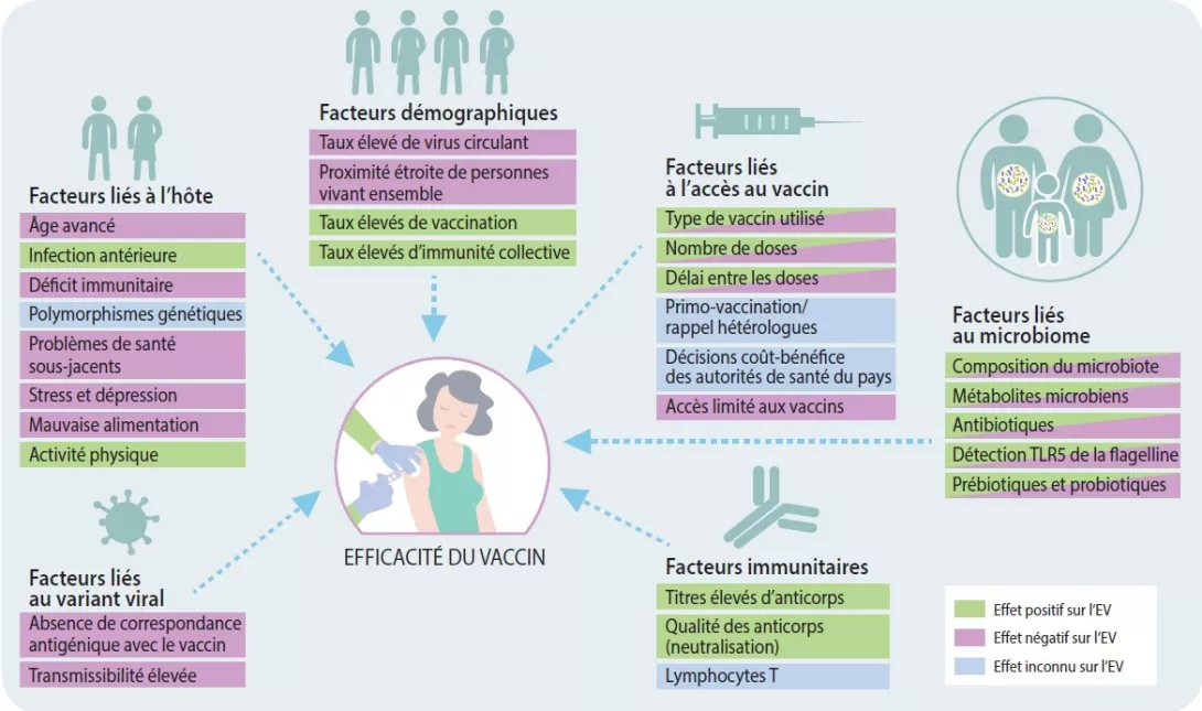 Covid 14_figure 1 FR