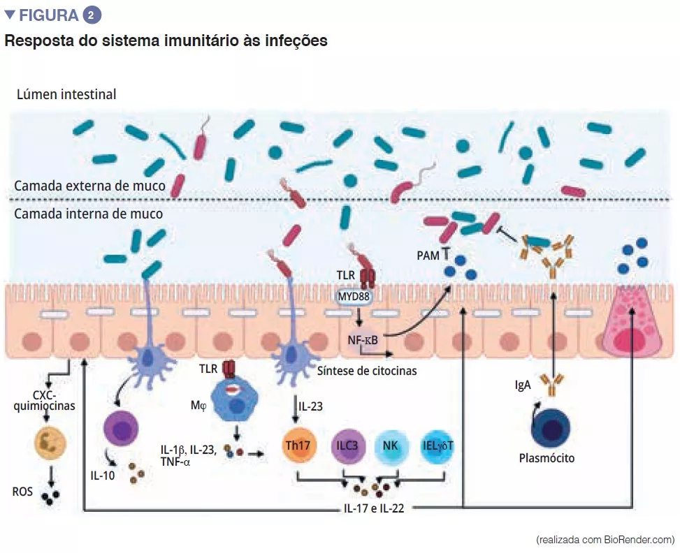 Overview 12_fig 2 PT