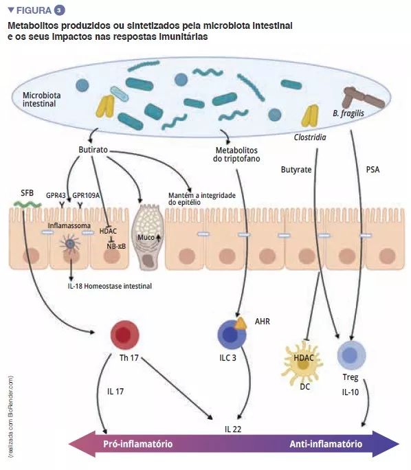 Overview 12_fig 3 PT