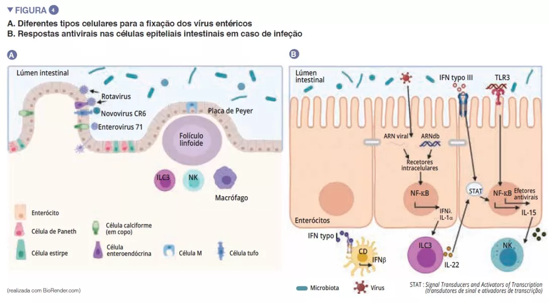 Overview 12_fig 4 PT