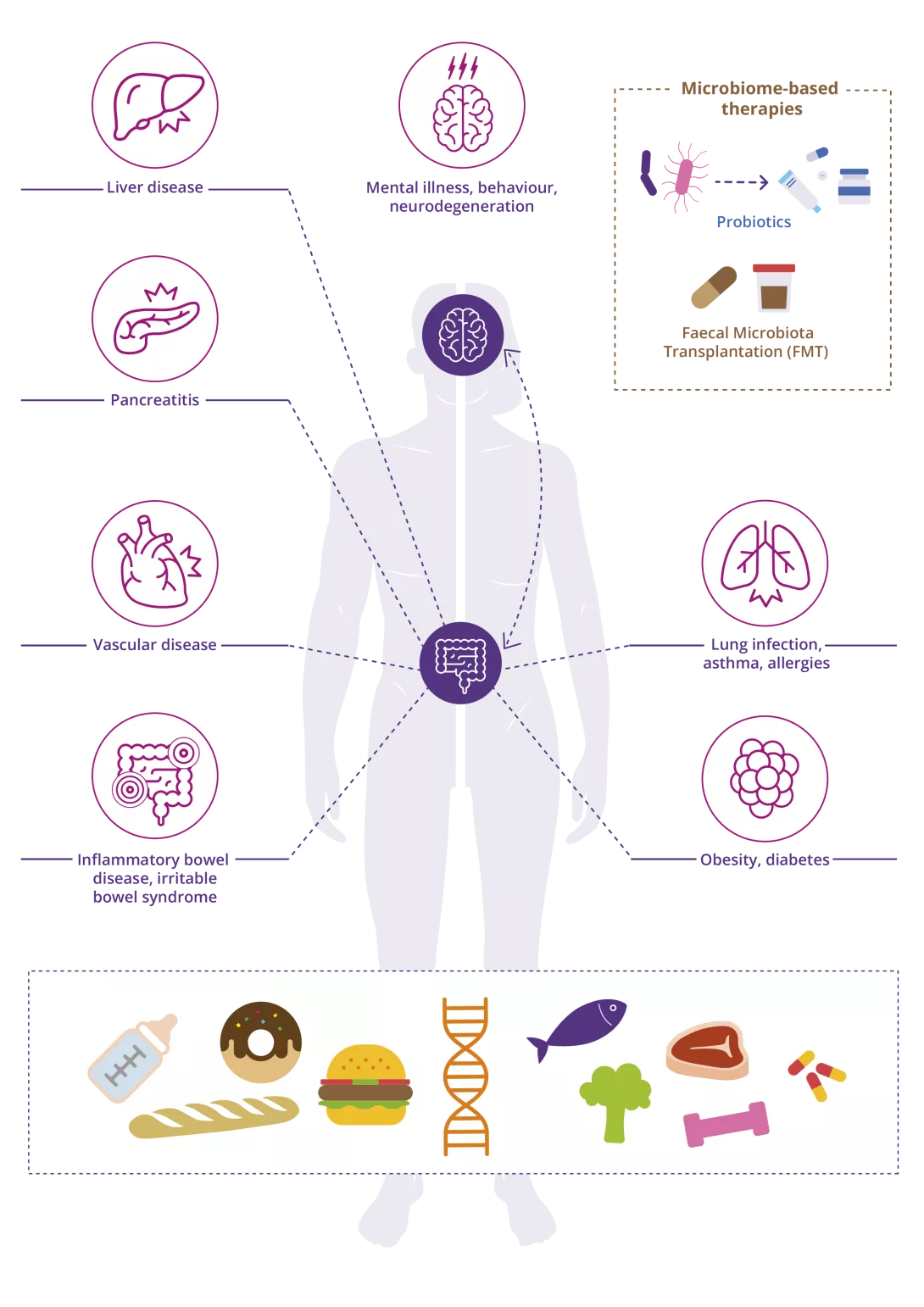 The role of the gut microbiota in human health