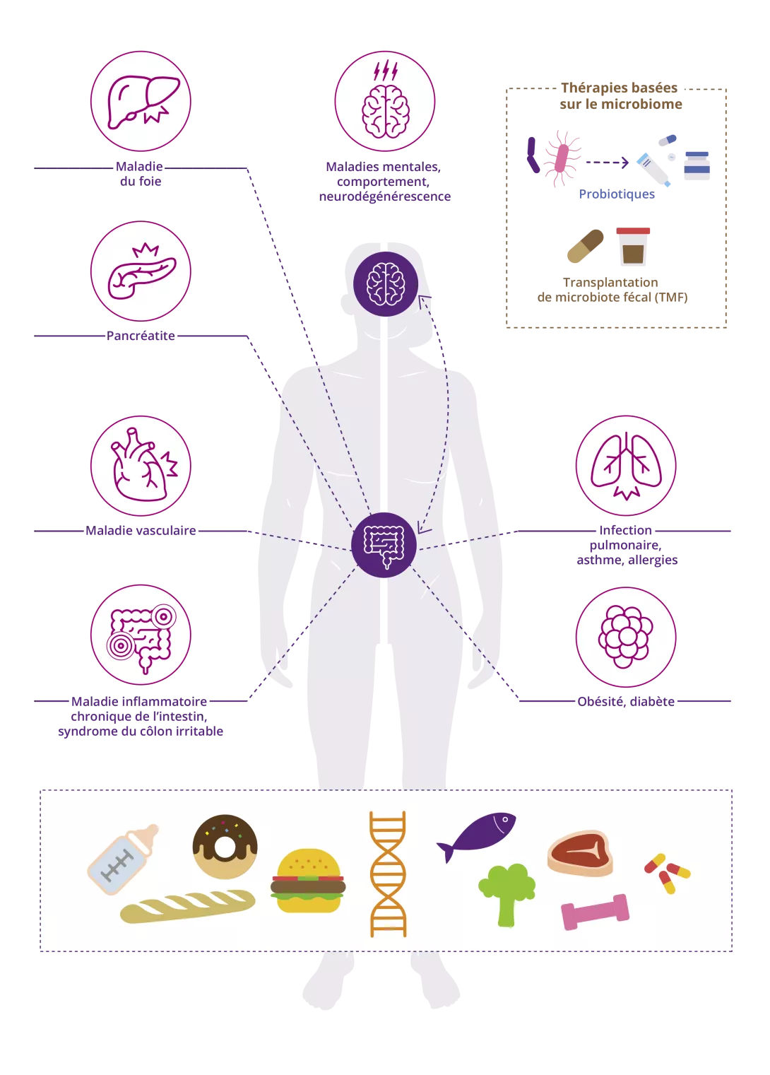 [infographic] The role of the gut microbiota in human health (FR)
