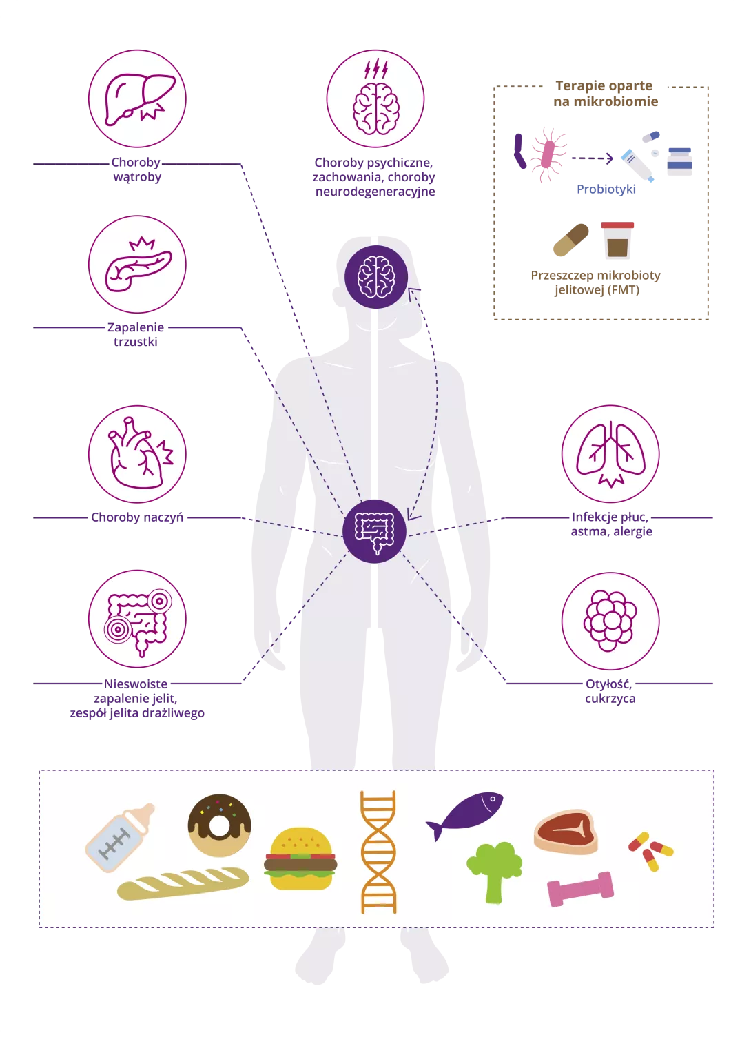 [infographic] The role of the gut microbiota in human health (PL)