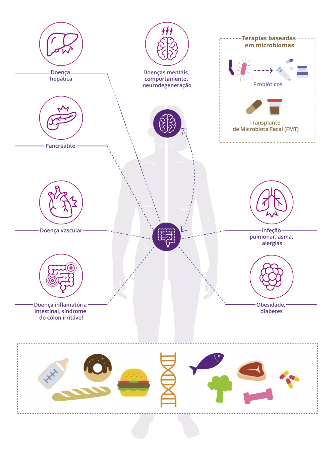 [infographic] The role of the gut microbiota in human health (PT)