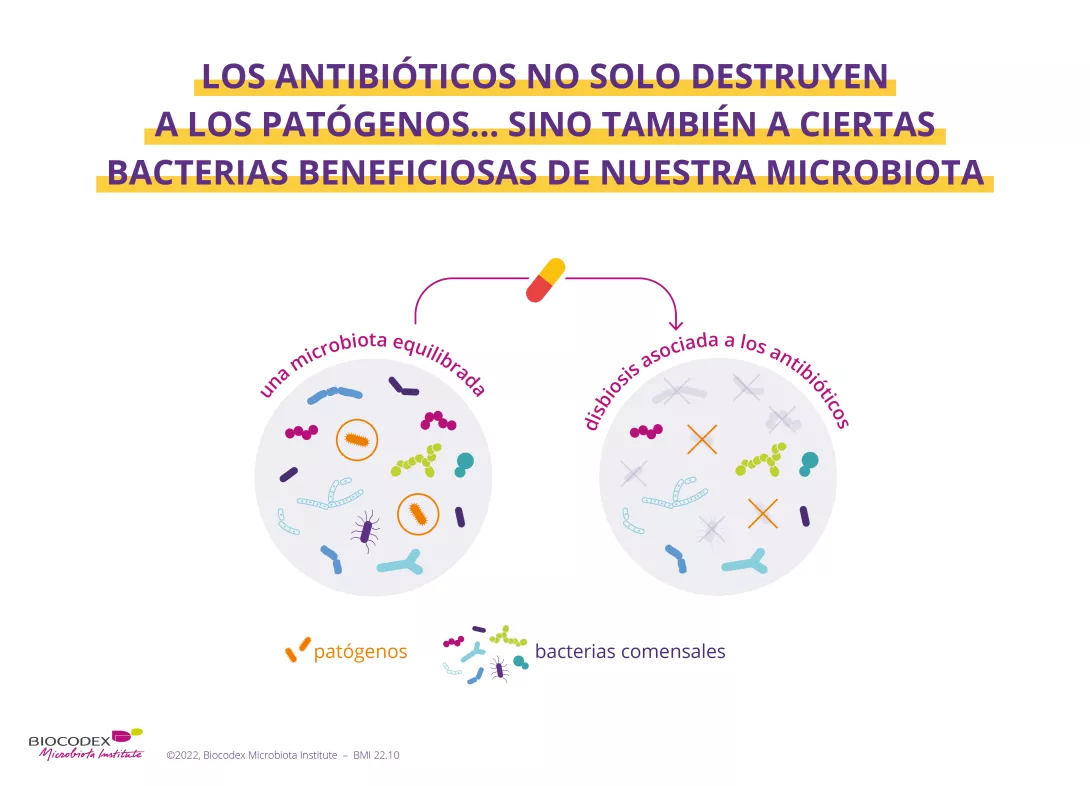 WMD_quiz antibioticos 1_ES