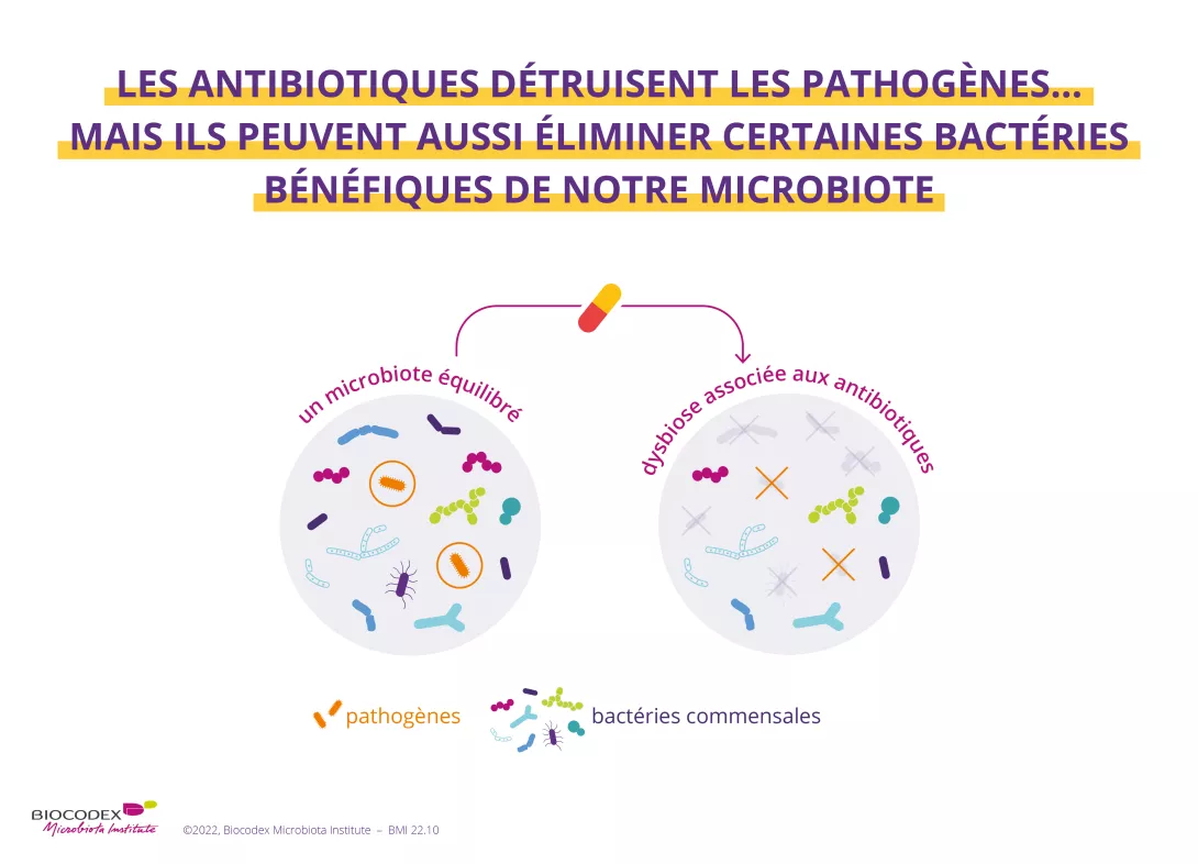 WMD_quiz antibiotiques 1_FR