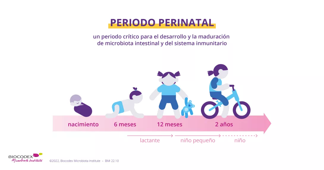 WMD_quiz periodo perinatal_ES