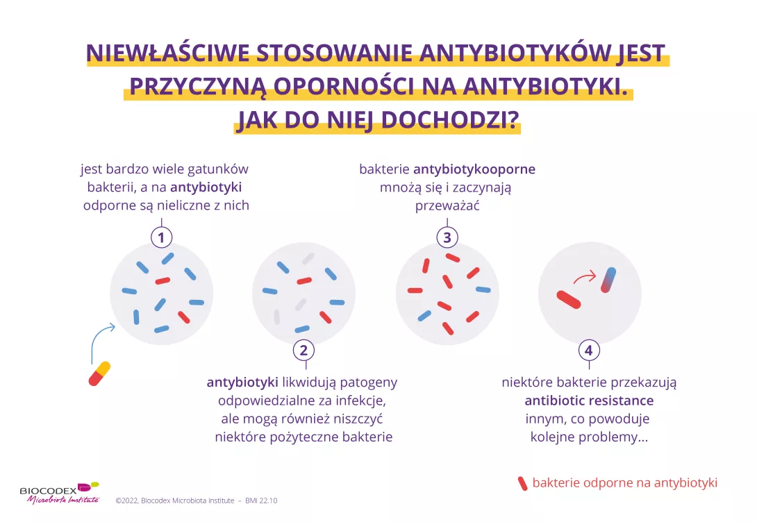 WMD_quiz antibiotyki 4_PL