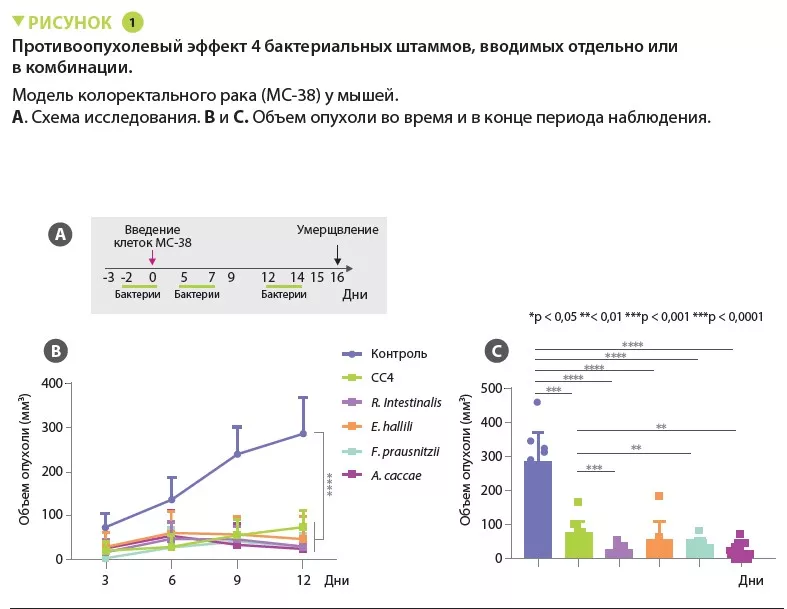 Mag 15 sokol fig 1