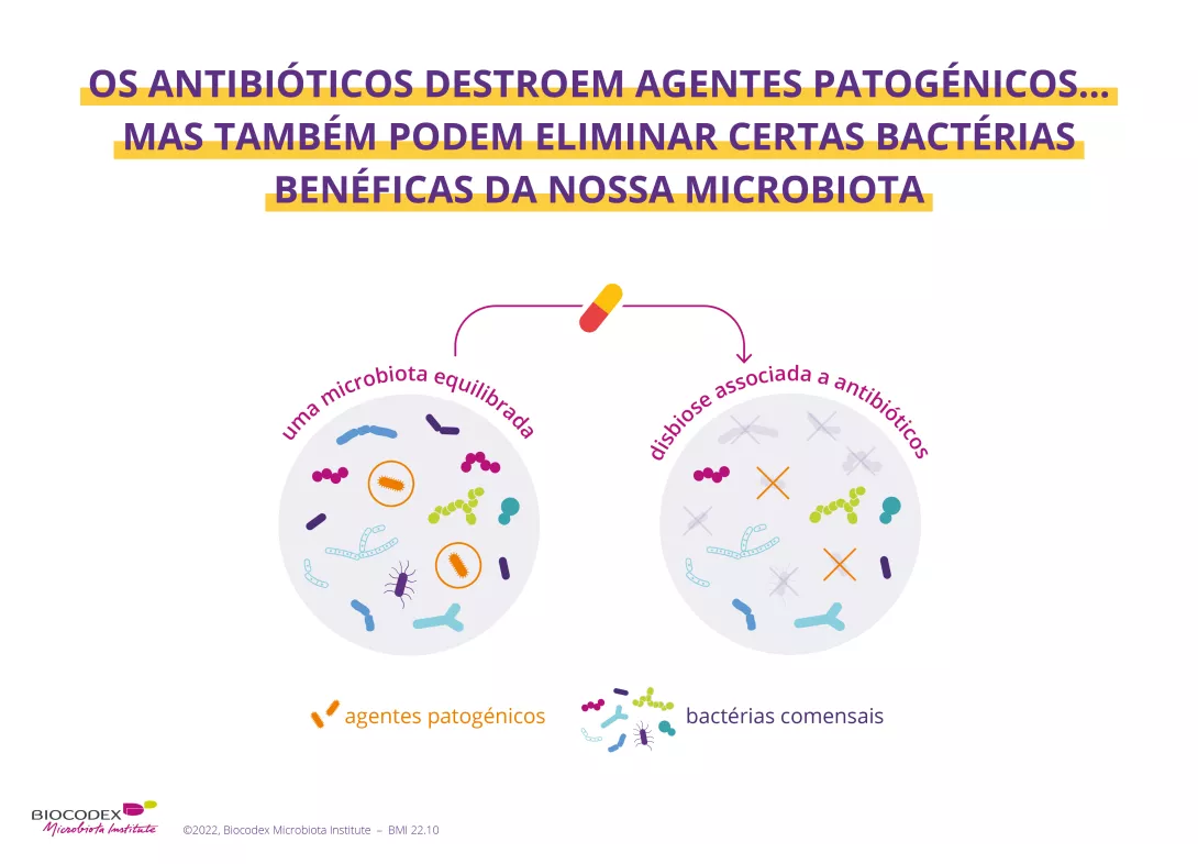 Antibióticos são bem conhecidos por destruir patógenos, mas poucos sabem que eles também podem eliminar certas bactérias benéficas, chamadas comensais de nossa microbiota