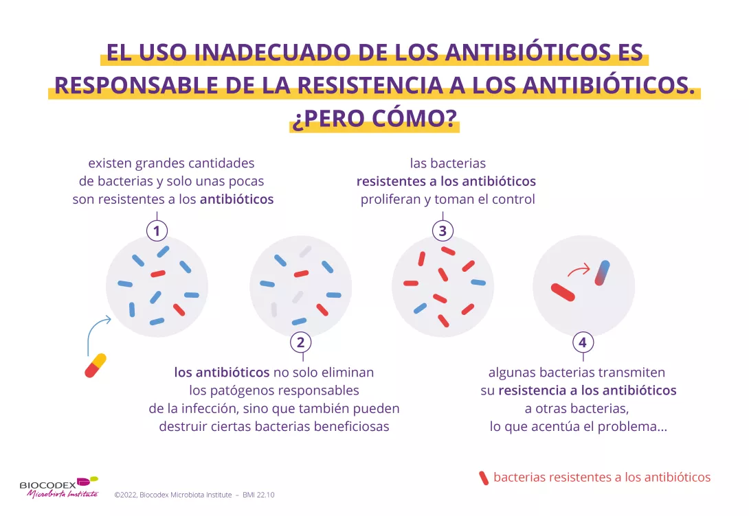 El uso inadecuado de antiblinóticos es responsable de la resistencia a los antibióticos. De hecho, entre todas las bacterias, solo una pequeña parte son inicialmente resistentes a los antibióticos, pero el uso de antibióticos elimina ciertas bacterias beneficiosas, no resistentes a los antibióticos. Por lo tanto, las bacterias resistentes proliferarán y asumirán, además, ciertas bacterias transmiten su resistencia a los antibióticos a otras bacterias, lo que acentúa los problemas.