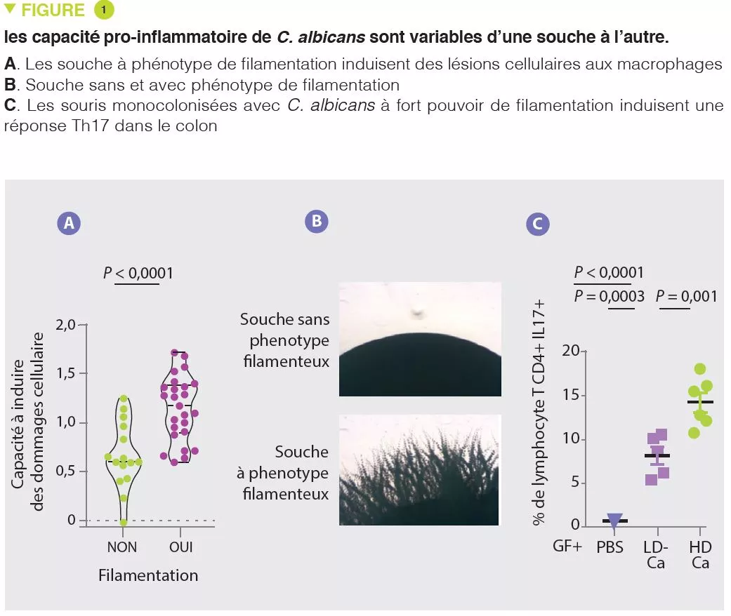 Microbiota 16 FR articles commentés adultes Fig1